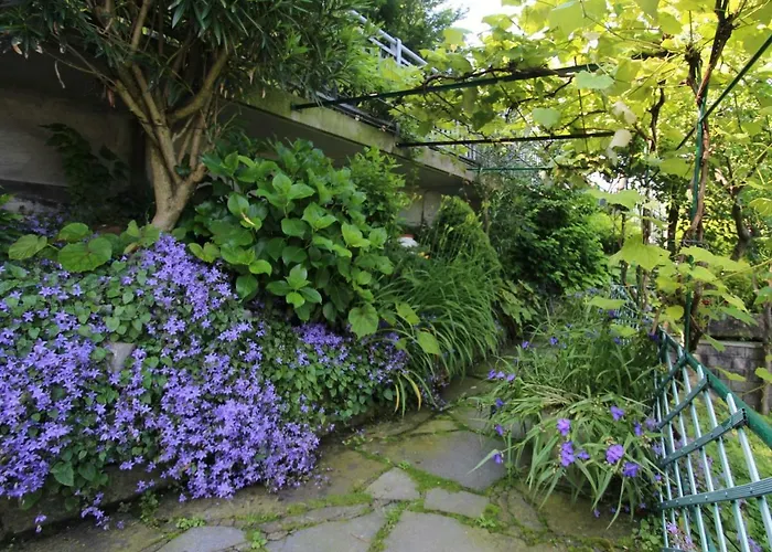 Sabrina By Interhome Apartman Nesso