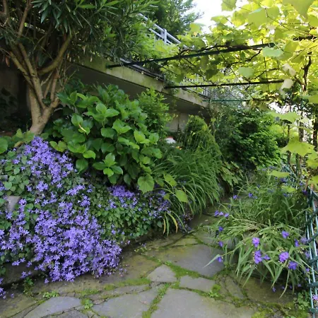 Sabrina By Interhome Apartment Nesso